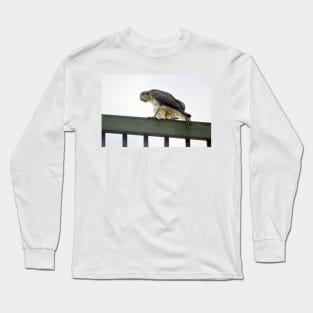 Red Tail Hawk Glare Long Sleeve T-Shirt